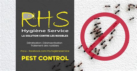 Rhs Hygiène Service Pest Control Fourmis Désinsectisation Et Traitement