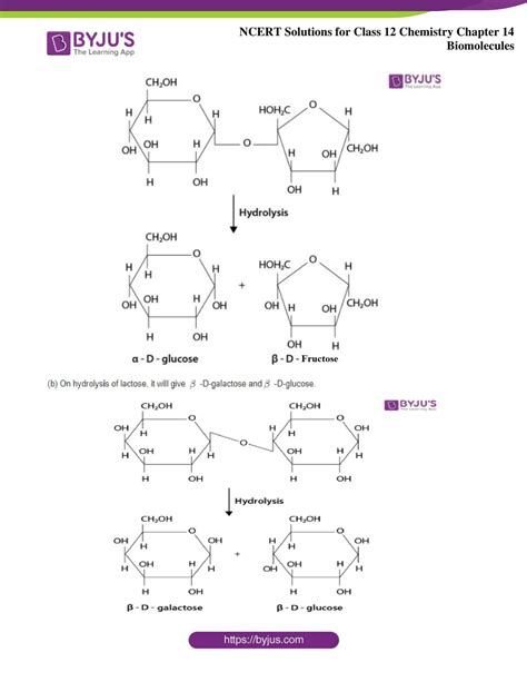 Ncert Solutions For Class 12 Chemistry Chapter 14 Biomolecules