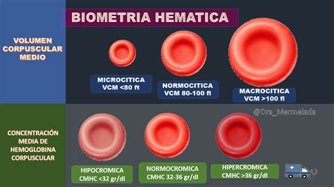 Anemia Normocromica E Normocitica