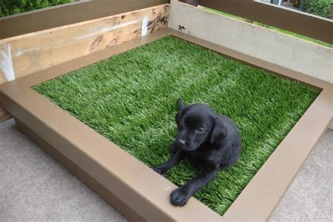 Jan 16, 2018 · one of the hardest lessons can be potty training. DIY Porch Potty Is The Ultimate Solution For City Dogs Or Lazy Pet Owners (PHOTOS)