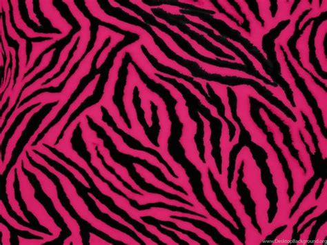 Pink And Black Zebra Print Border