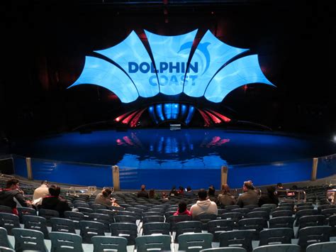 Dolphin Coast Show Pool In Theater Dolphin Coast Dolphin Pools