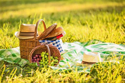 10 Best Picnic Baskets In 2024 Road Affair