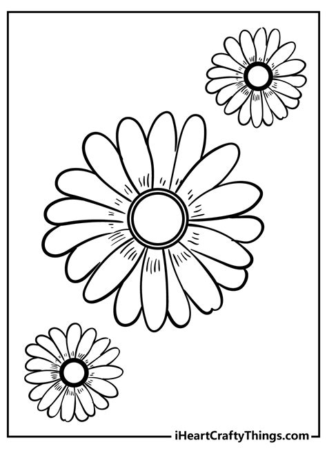 Daisy Flower Printable Coloring Pages Best Flower Site