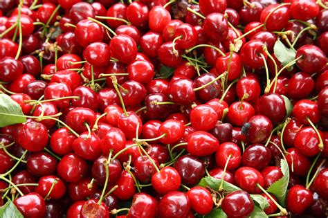 Sour Cherries From Apples To Zucchini Your Seasonal Produce Guide