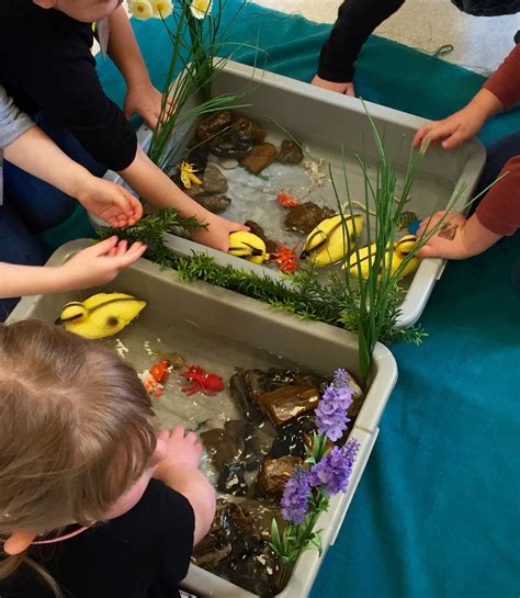 We did not find results for: Make a duck pond with dollar store finds! Plastic ...