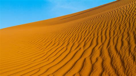 Download Wallpaper 2560x1440 Dunes Slope Sand Relief Widescreen 169