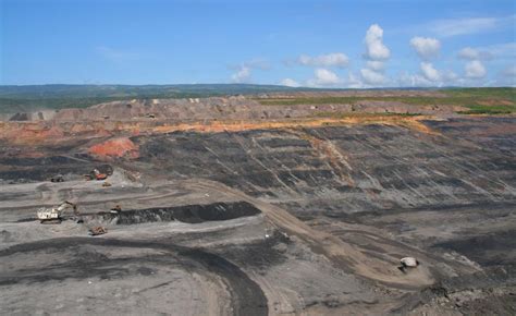Mining The Amazon And Pandemic Profiteering