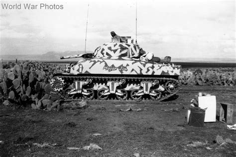 M4A1 Sherman Named Major Jim North Africa 1943 World War Photos