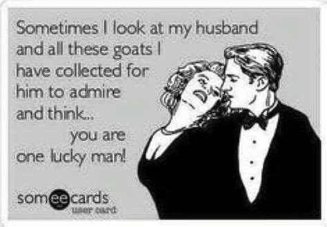 Pin By Sarah Edington On Goats Funny Confessions Ecards Funny Funny