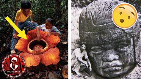 LAS 5 COSAS MÁS RARAS Y EXTRAÑAS ENCONTRADAS EN LA SELVA! - YouTube