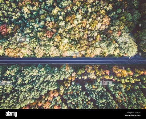 Road Through Colorful Autumn Forest Stock Photo Alamy