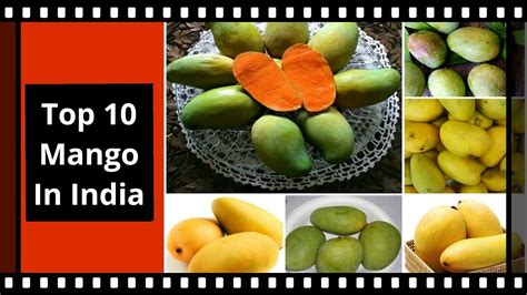 top 10 best mango varieties in india by garden gyan youtube