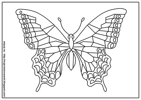 Motyl Kolorowanka Wydruku Motyle Malowanka Dziewczyn Farfalle
