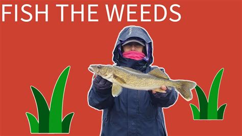 The best early summer fising locations they don't want you to know