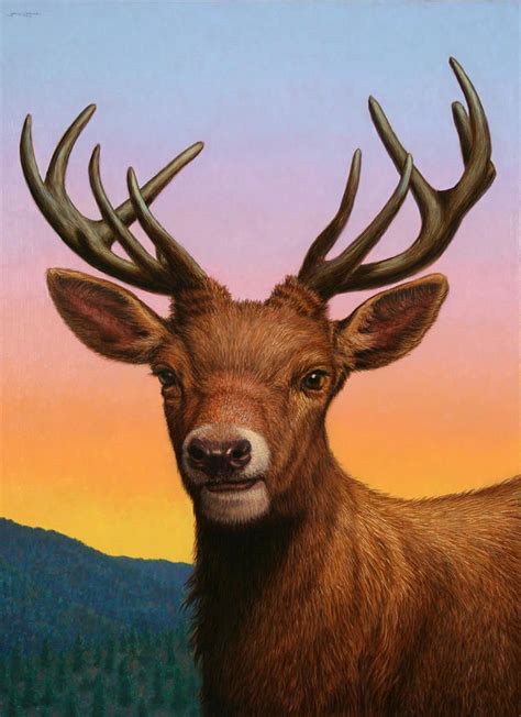 Portrait Of A Red Deer By James W Johnson Deer Art Print Deer