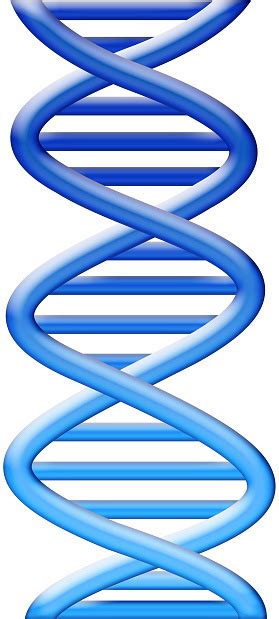 Blue Dna Stock Photo Download Image Now Istock