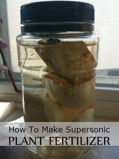Add the epsom salt and baking soda to the hot water, and stir until dissolved. How To Make Homemade Plant Fertilizer - Homestead & Survival
