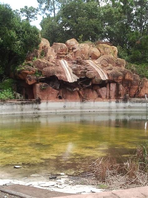 Abandoned Disney - River Country water park | My Disney ...