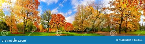 Colorful Park Panorama In Autumn Stock Image Image Of Idyll Beech