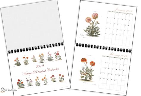 2019 Printable Monthly Calendar With Vintage Botanical Art Ideas For