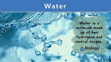Water Definition and Examples - Biology Online Dictionary
