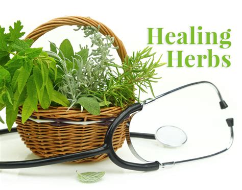Healing Herbs For A Healing Garden The Herb Exchange