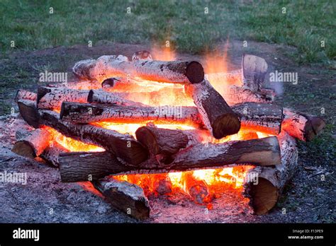 Bonfire In The Forest During Night At The Summertime Stock Photo Alamy