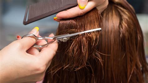 Everything You Need To Know About Hair Thinning Scissors Fashion And