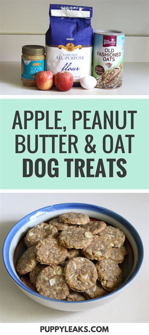 Quick And Easy Apple Peanut Butter And Oat Dog Treats Puppy Leaks
