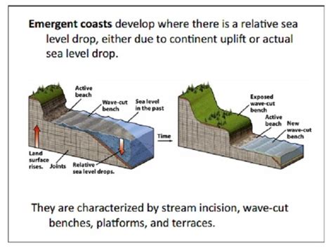 Coastal Management Presentation Slides Flashcards Quizlet