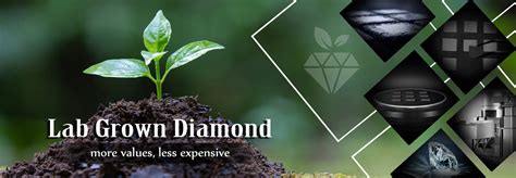 Lab Grown Diamond Buy Certified Loose Diamonds