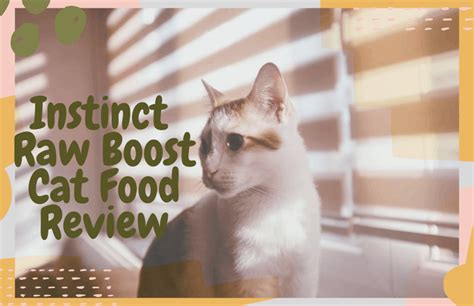 Made with real chicken and turkey, and without any added artificial flavors and preservatives, this dry cat food has a delicious taste and provides 100% complete and balanced. Instinct by Nature's Variety Raw Boost Cat Food Review ...