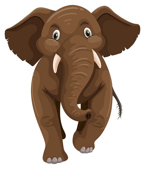 Baby Elephant With Brown Skin 303200 Vector Art At Vecteezy