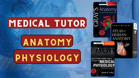 Be Your Anatomy Physiology Tutor By Drkhalid492 Fiverr