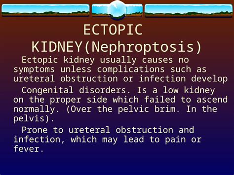 Ppt Ectopic Kidneynephroptosis Ectopic Kidney Usually Causes No