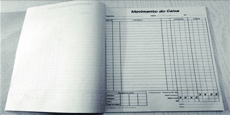 Modelo De Livro Caixa Utilizado Download Scientific Diagram