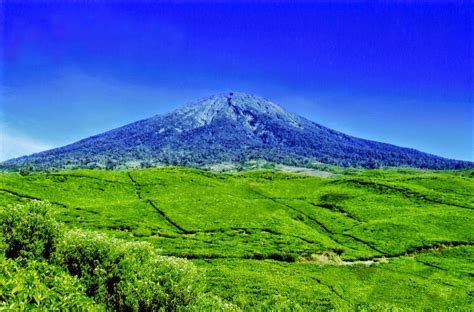 Pemandangan alam yang disuguhkan cukup menakjubkan sehingga banyak orang menjadikan hutan pinus contohnya seperti gambar di atas. Gambar Kisah Lucu Ateis Bercakap Allah Memeluk Islam Alam Semesta Ciptaan di Rebanas - Rebanas