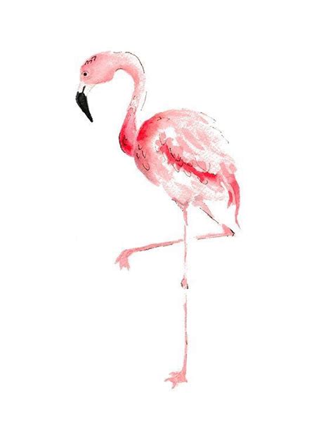 Pin By Tina Horn On ~ Flamingo ~ Flamingo Wall Art Flamingo Art
