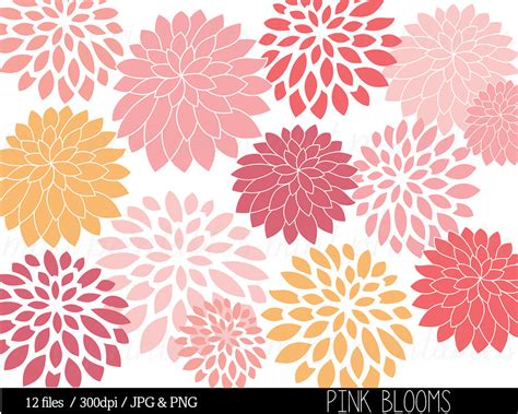 Dahlia Flowers Clipart 20 Free Cliparts Download Images On Clipground