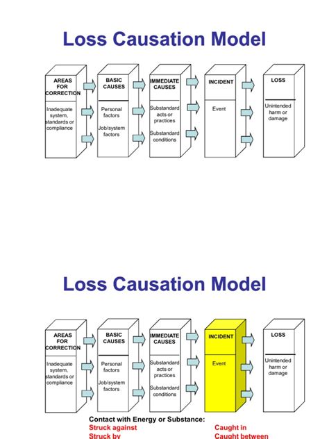 Loss Causation Model