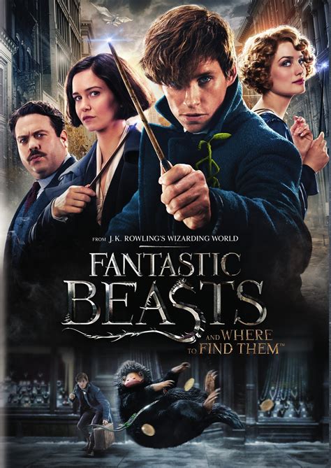Fantastic Beasts And Where To Find Them Dvd 2016 Best Buy