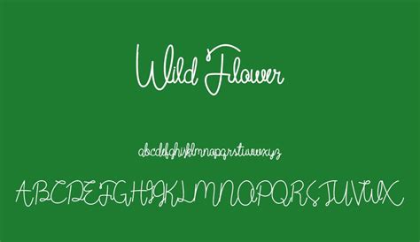 Wild Flower Free Font