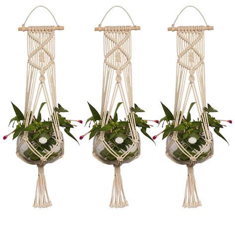 Decorative Plant Hangers For Wall Plant Air Wall Hanger Decor Plants
