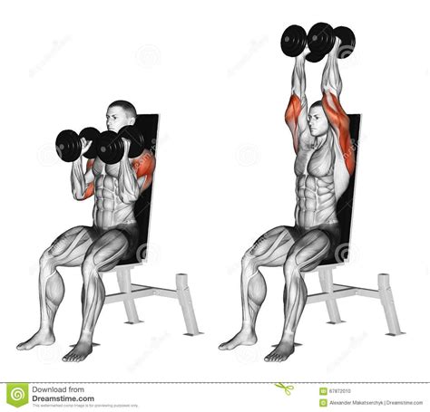 Exercising Dumbbell Seated Shoulder Press Parallel Grip Shoulder