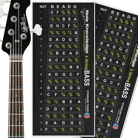 Buy String Bass Guitar Fretboard Note Decals Stickers Online At DesertcartPhilippines