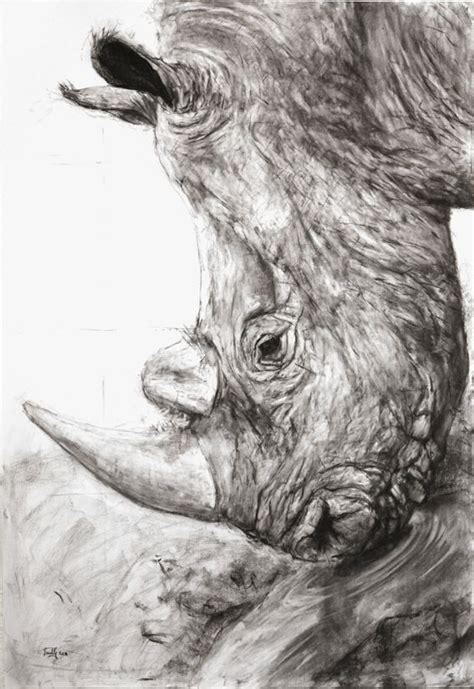 Easy Charcoal Animal Drawings Warehouse Of Ideas
