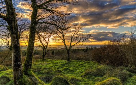 Wallpaper Northern Ireland Uk Nature Landscape Grass Trees Clouds