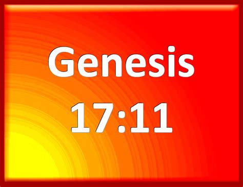 Genesis 1711 And You Shall Circumcise The Flesh Of Your Foreskin And