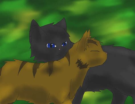 crowfeather and leafpool by stormfalconfire on deviantart